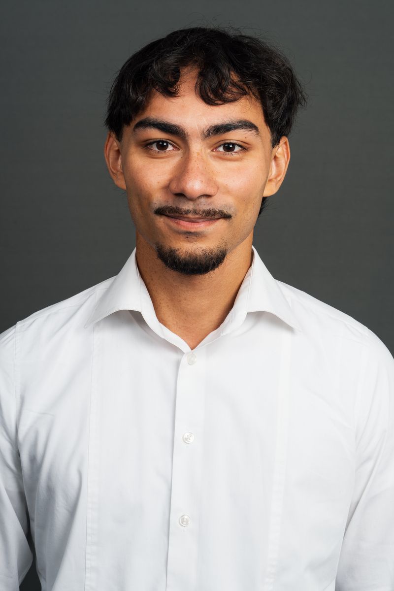 Mehdi Islam
